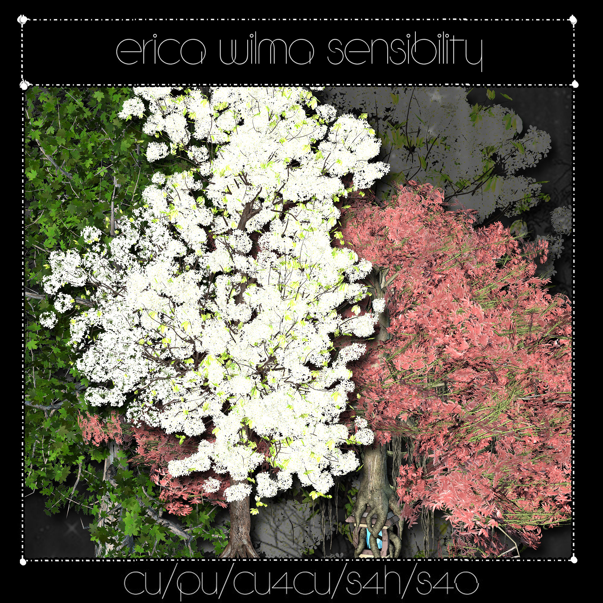 (image for) EW Blossom Tree
